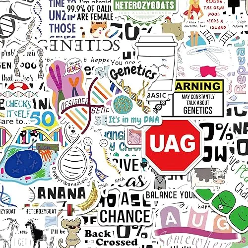 Genetics Pun Stickers,Funny Genetics Stickers,Water Bottle Scrapbooking Stickers,Genetics Gifts(50 Pack)