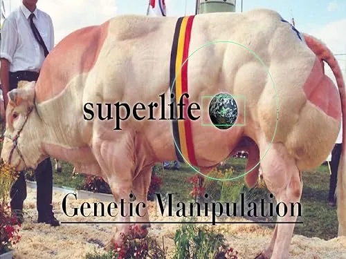 Superlife: Genetic Manipulation (TV Series)